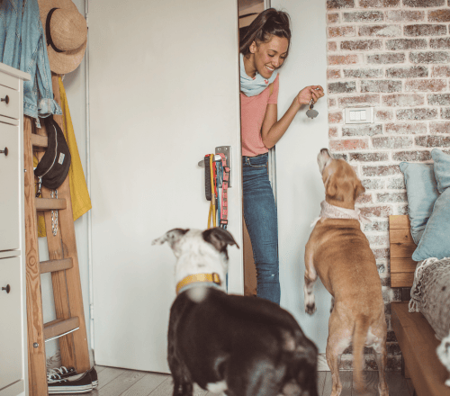 Pet Sitters Pet Sitters
