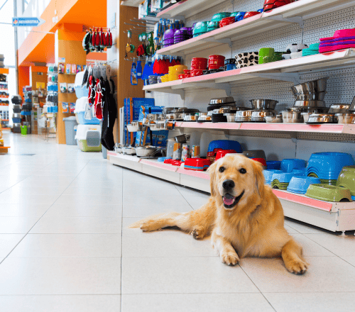 Pet Store